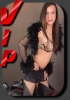 Navigationsbild von TS Transe Linda Shemale TS Trans