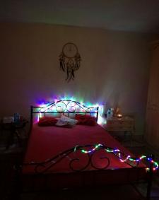 Navigationsbild von TS Transe Trans Wohnung Shemale TS Trans