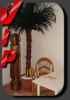 Navigationsbild von TS Transe Wohnung / Appartemen Shemale TS Trans