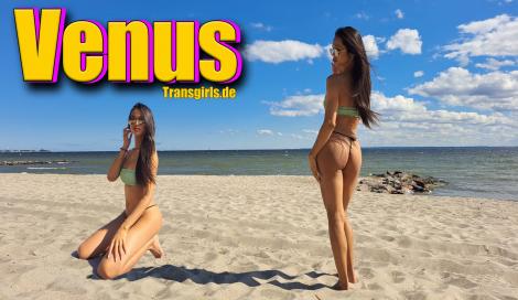 Premium Vorschaubild von TS Transe Venus Shemale in Berlin bei Transgirls.de