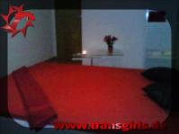 Photo No. 39437 from Shemale TS Exclusives  Appartement in Basel
