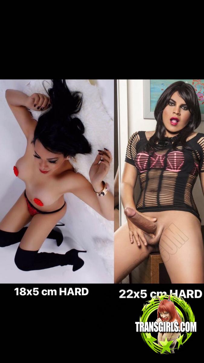 Foto Nr. 2020 von Shemale Trans Soraia & Anny Brasil